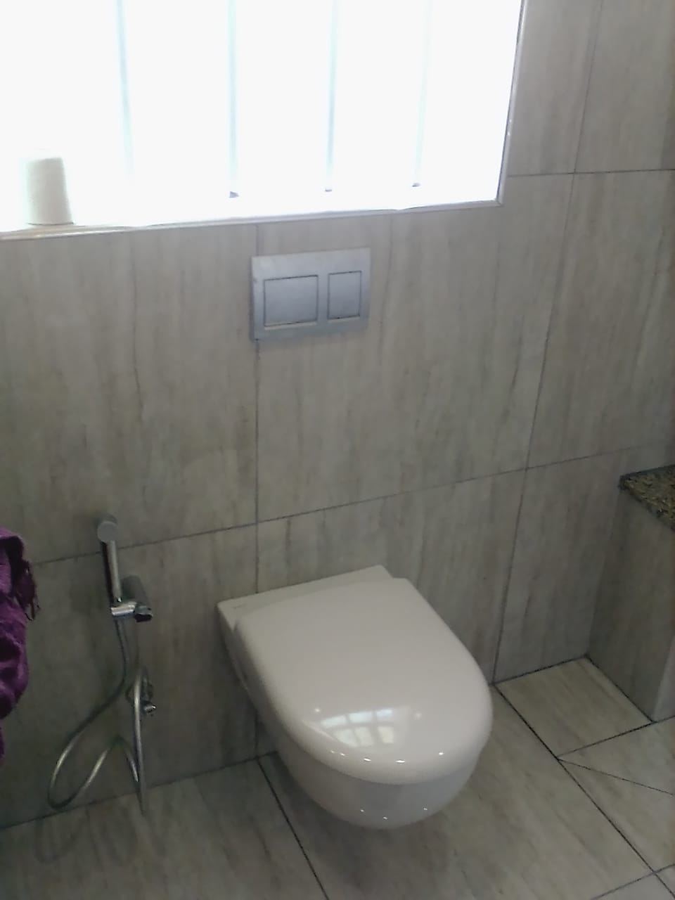 A wall-hung toilet with a concealed cistern flush plate and a bidet spray hose